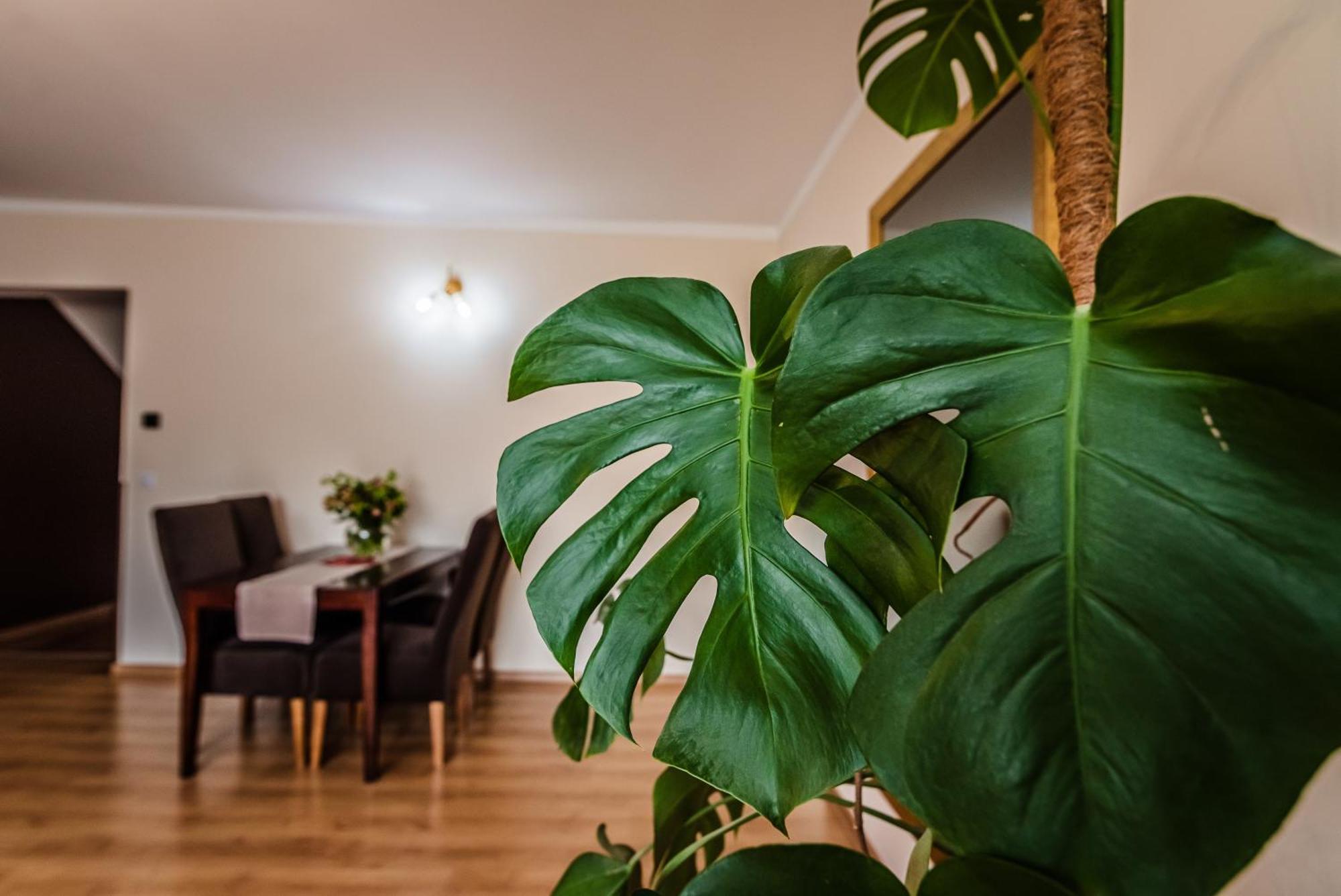 Apartamenty Widok Szczawnica Εξωτερικό φωτογραφία